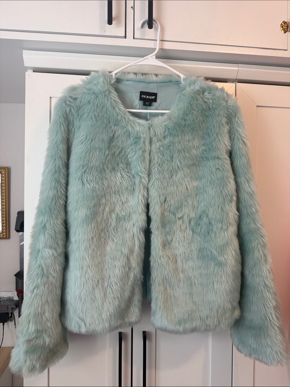 Faux Fur Mint Blue Jacket